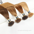 Premium Extensions russe Up Hair Extensions: Elegance all&#39;ingrosso